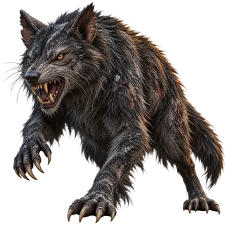 Ash Wolf
