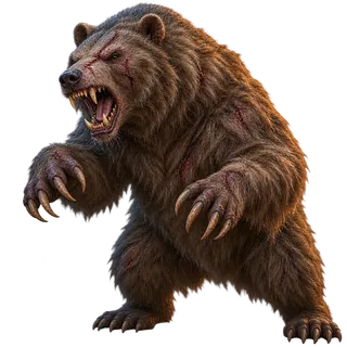 Bear